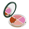 DMKC Corrector - Quad - Blushes